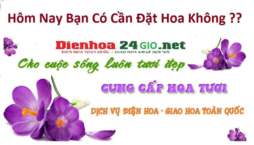 Cửa hàng hoa tươi Kỳ Sơn