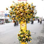 Chúc Mừng Tỏa Sáng
