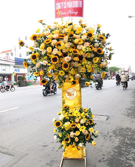 Chúc Mừng Tỏa Sáng