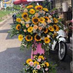 Khai Trương Vượt Trội