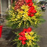 Vạn Sự Thành Công - LẴNG HOA CHÚC MỪNG
