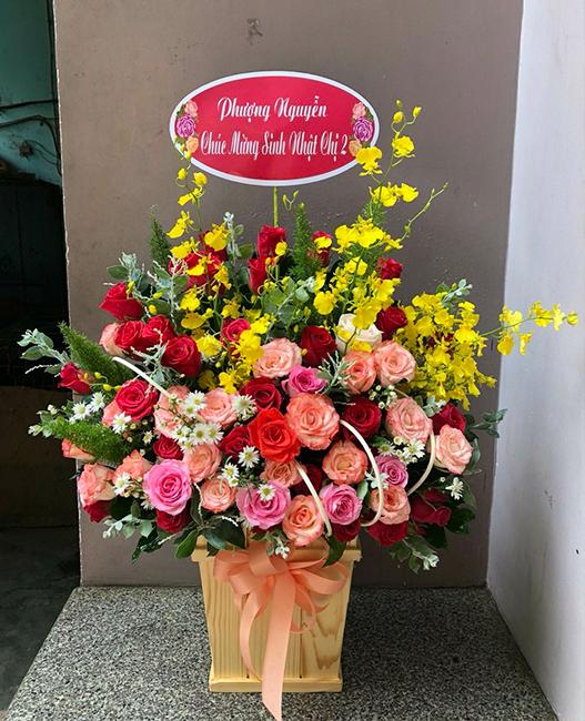 Shop hoa Quế Phong Nghệ An